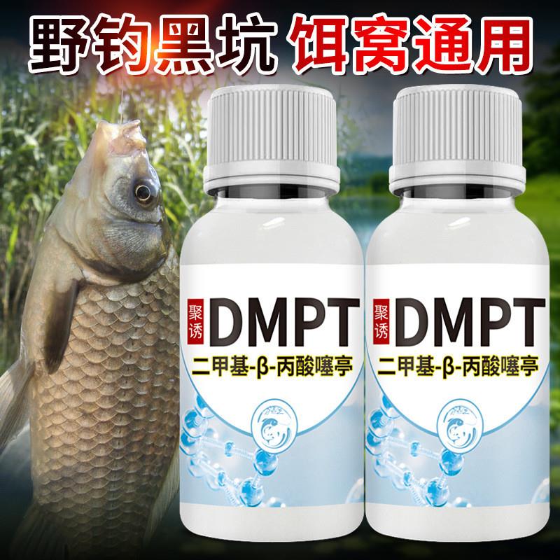 抖音爆款钓鱼小药DMPTdmpt鲫野钓鲤草开口剂诱鱼啃咬石头黑坑鱼饵