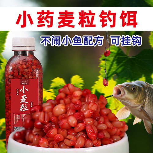 抖音爆款钓鱼小麦粒血麦