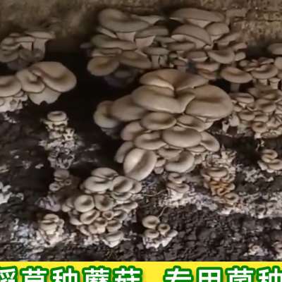 河南金渠银通获得银粉出产用气流粉碎机专利