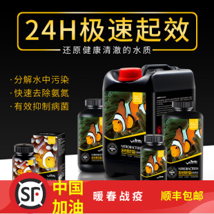 RUIFINE 瑞丰 硝化细菌 活性复合菌 干式复合菌 淡海水通用