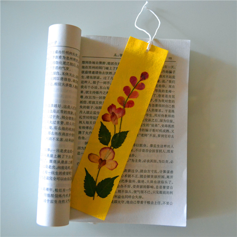 兰纳工艺品干花纸书签曼谷特色旅游纪念品礼品商务学习毕业小礼物