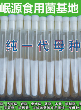 食用菌一级斜面母种菌种