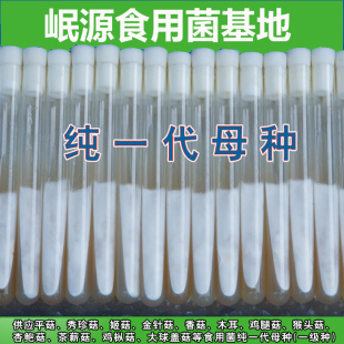 食用菌纯一代试管母种斜面平菇木耳香菇灵芝秀珍一级种新品种菌种