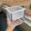 厂家直销正方形玻璃花瓶水培绿萝铜钱草红掌白掌植物透明插花摆件