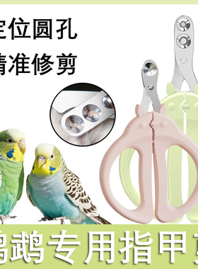 鹦鹉专用指甲剪鸟类指甲刀虎皮牡丹修指甲套装小宠钳子磨甲器用品