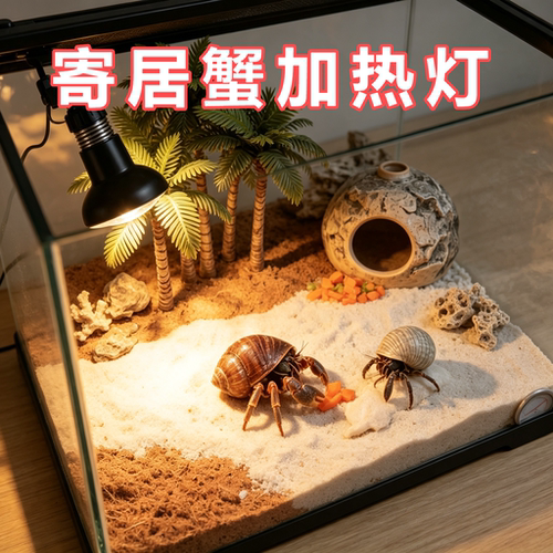 寄居蟹专用陶瓷加热灯保温灯爬宠用品加温灯无光远红外加热器蜥蜴