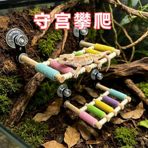 守宫专用攀爬架悬挂吸盘爬架站杆云梯爬梯用玩具饲养箱造景装饰