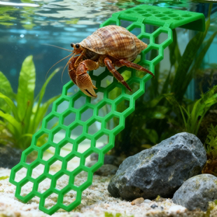寄居蟹专用攀爬网格塑料格子板鱼缸隔板分离板攀爬架昆虫饮水漂浮