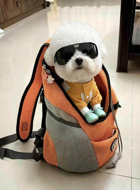 博美比熊专用背包外出装狗狗便携包出门骑行摩托车双肩包冬季胸前