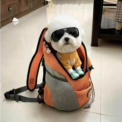 比熊专用背包犬外出装狗便