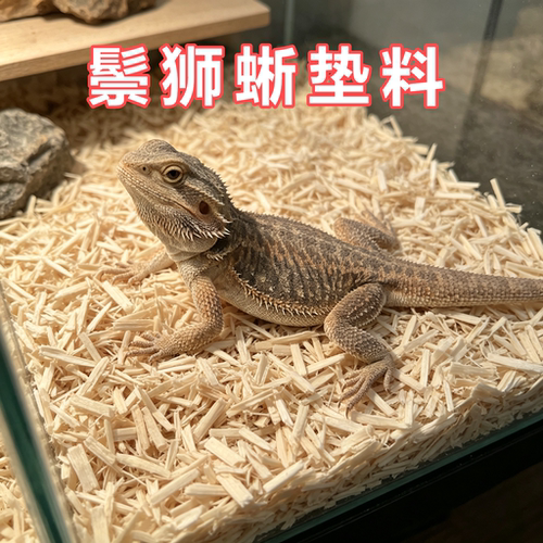 鬃狮蜥专用垫材木屑爬宠饲养箱垫料保温取暖木屑白杨木纤维无尘
