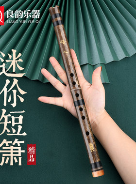 精品紫竹迷你短箫易吹响零基础