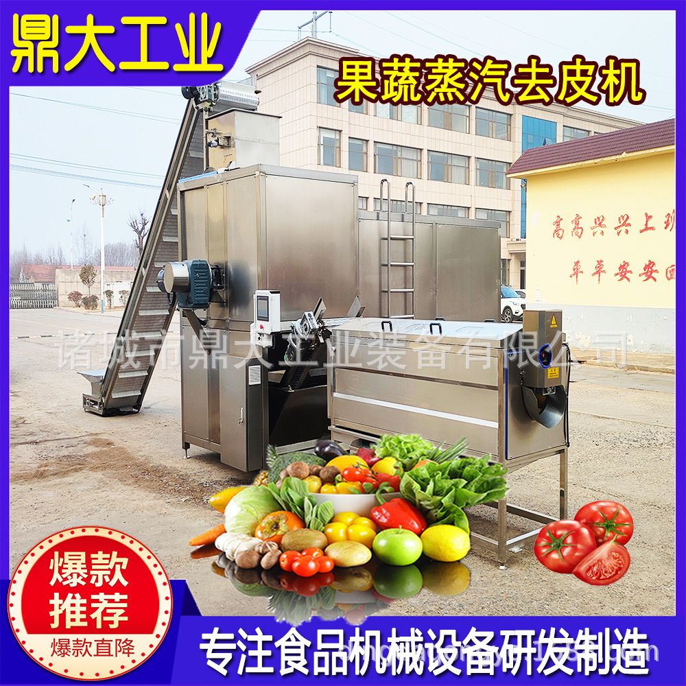 源头工厂砂棍毛刷清洗去皮机根茎类瓜果蒸汽脱皮机土豆芋头去皮器