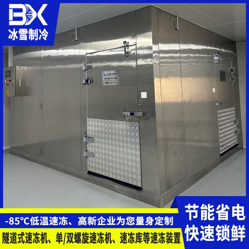 中小型速冻库 食品速冻库 海鲜糕类食品库 -35℃低温速冻 -冰雪