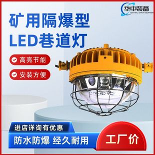 DGS40/127L(A)矿用隔爆型LED巷道灯LED巷道照明灯