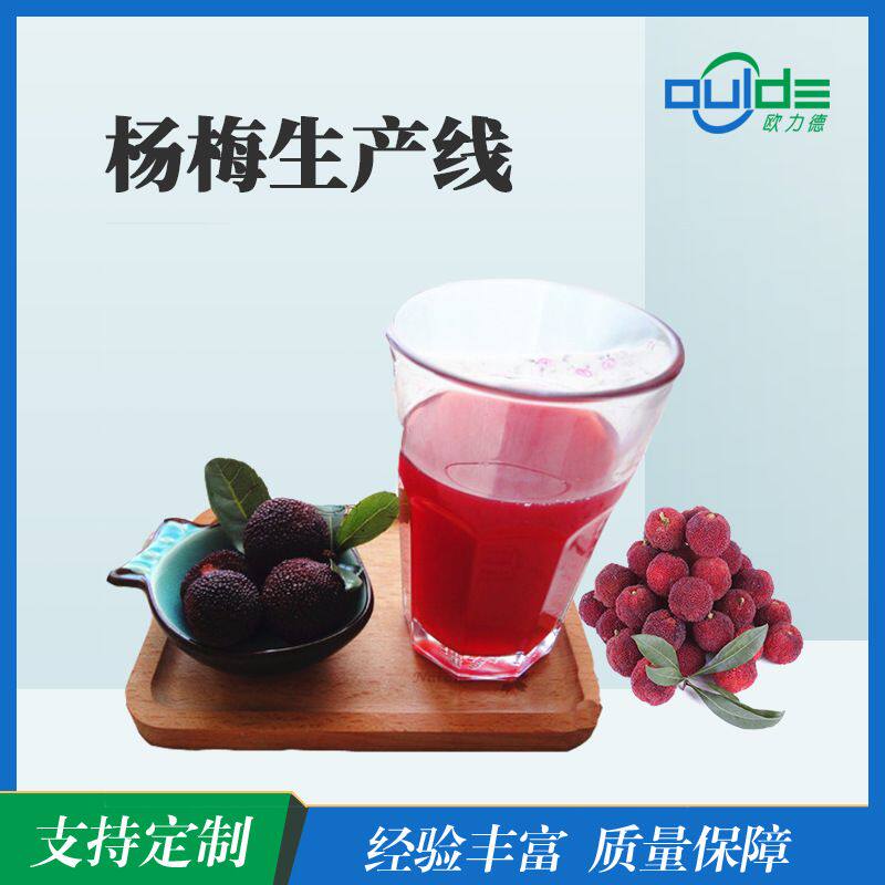 全自动生产线 大小型果汁果酱饮料橙汁生产线 杨梅生产线 榨汁