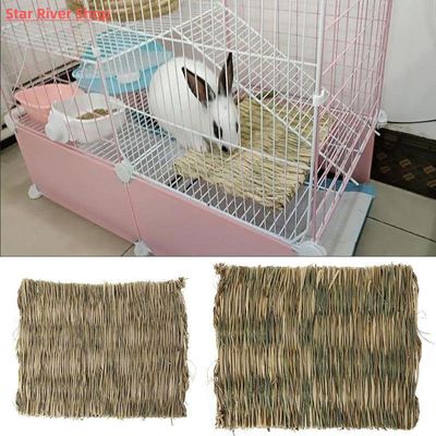 Rabbit Grass Chew Mat Small Animals Hamster Guinea Pig Cage