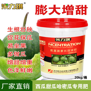 优质瓜类专用水溶肥西瓜甜瓜哈密瓜秧膨大增甜氨基酸冲施肥液体肥