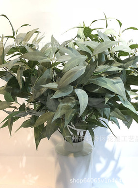 仿真植物叶桉树叶毛浆金