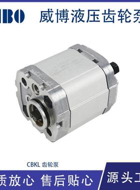 液压齿轮泵小型高压油泵大流量设备配件CBKL系列动力单元