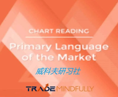 wyckoff Gary Dayton -Primary Language Of Market 中英字幕