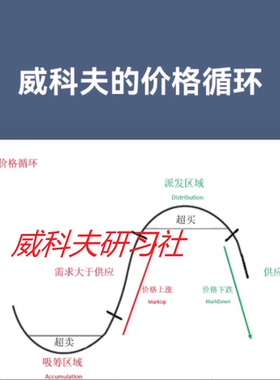 wyckoff--罗猛基础课人工翻译15集 2018 （罗猛弟子人工编译）