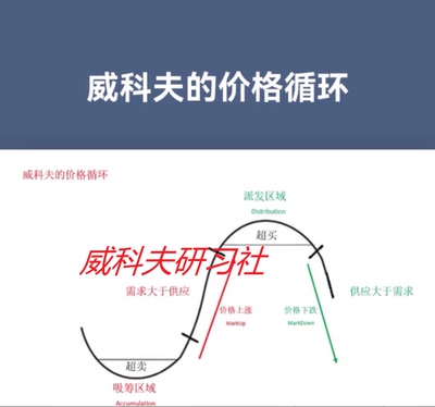 wyckoff--罗猛基础课人工翻译15集 2018 （罗猛弟子人工编译）