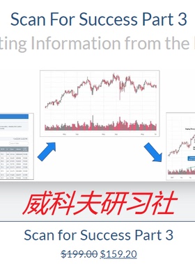 Wyckoff analytics-Scan For Success Part 3（选股课中英字幕）