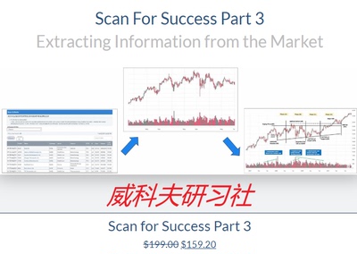Wyckoff analytics-Scan For Success Part 3（选股课中英字幕）