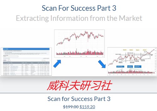 Wyckoff analytics-Scan For Success Part 3（选股课中英字幕）