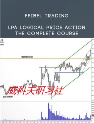 FEIBEL Wyckoff-- LPA - LPA - Logical Price Action  中英