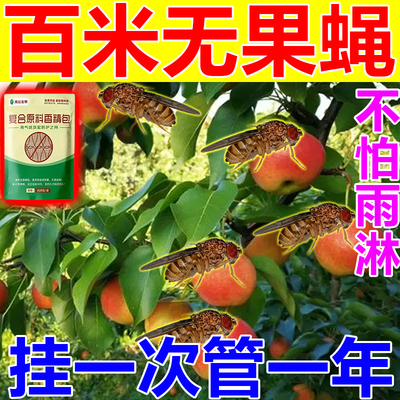 一闻死】果蝇诱捕神器驱