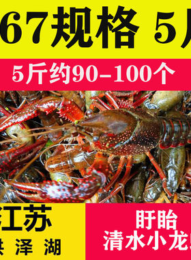 愫水洪泽湖盱眙小龙虾567钱5斤