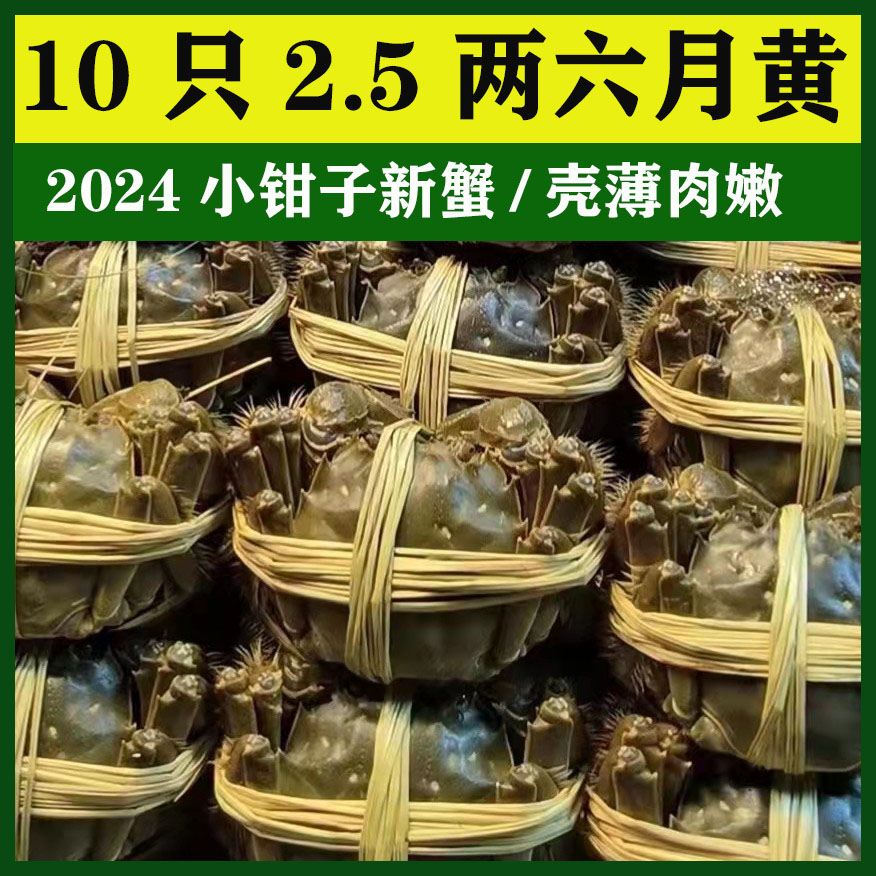 活蟹江苏洪泽湖大闸蟹鲜活特大2.5两六月黄10只礼盒螃蟹鲜活水产