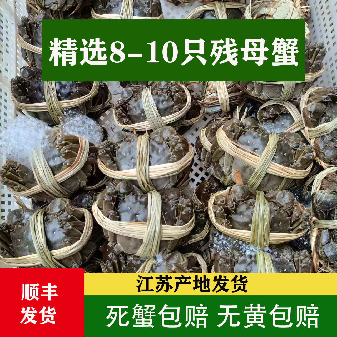 洪泽湖大闸蟹2-3两全母掉脚螃蟹