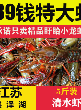 江苏盱眙清水小龙虾鲜活5斤装 洪泽湖789钱特大活体青壳虾红头虾