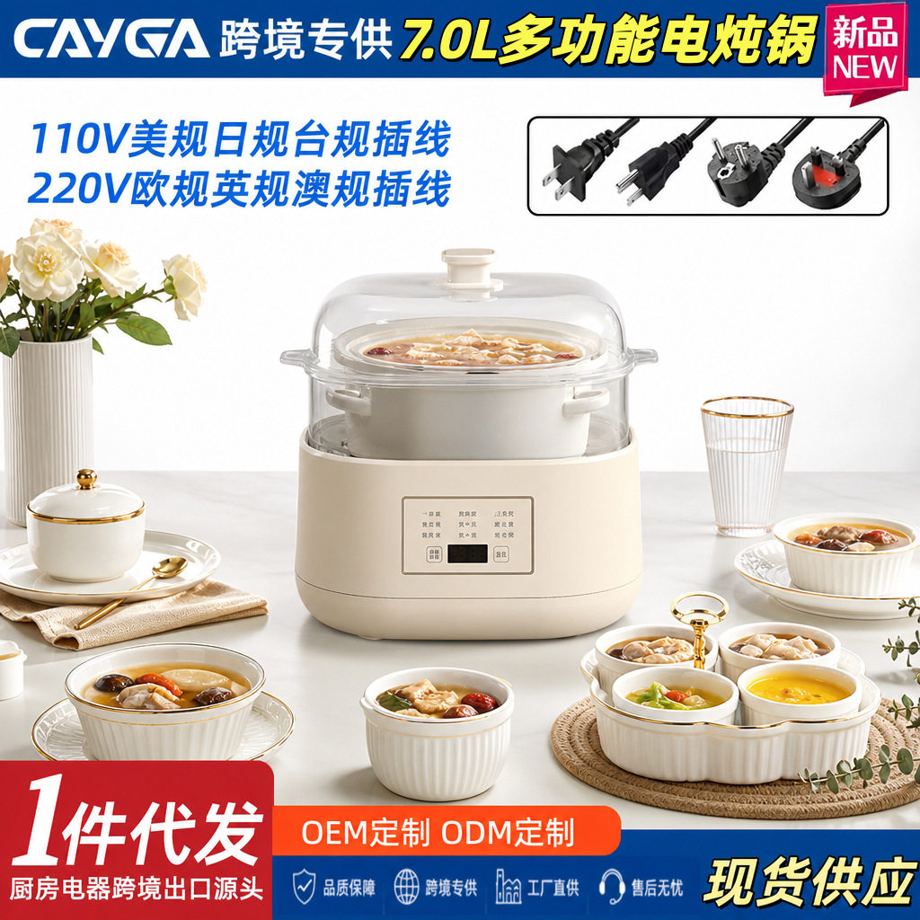 110V美規隔水燉鍋陶瓷電燉盅家用定時蒸燉兩用機台灣專用煲湯神器