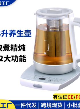 美规110V电器养生壶多功能煎药办公室煮黑茶花茶壶工厂批发电水壶