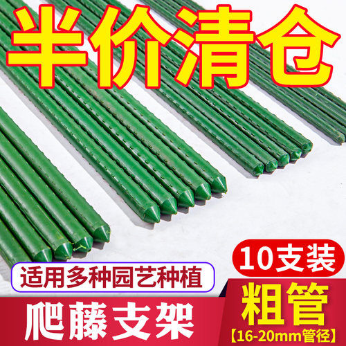 阳台园艺爬藤架支柱支架葡萄DIY