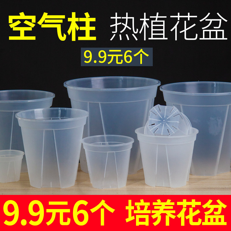 透明青山控根盆水苔蝴蝶兰专用花盆家用塑料养根盆海芋镂空大花盆,鲜花速递/花卉仿真/绿植园艺,花盆,淘宝优惠券,粉丝福利购,淘宝优惠卷