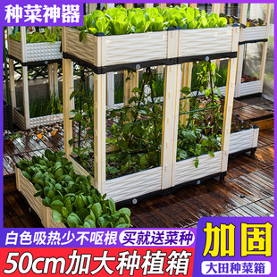 家庭阳台蔬菜种植箱 种菜神器 塑料特大花盆屋楼顶户外长方形清仓