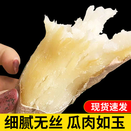 哈密冰糖薯山东沙地新鲜现挖白心糖心蜜薯红薯甜番地瓜5斤山芋