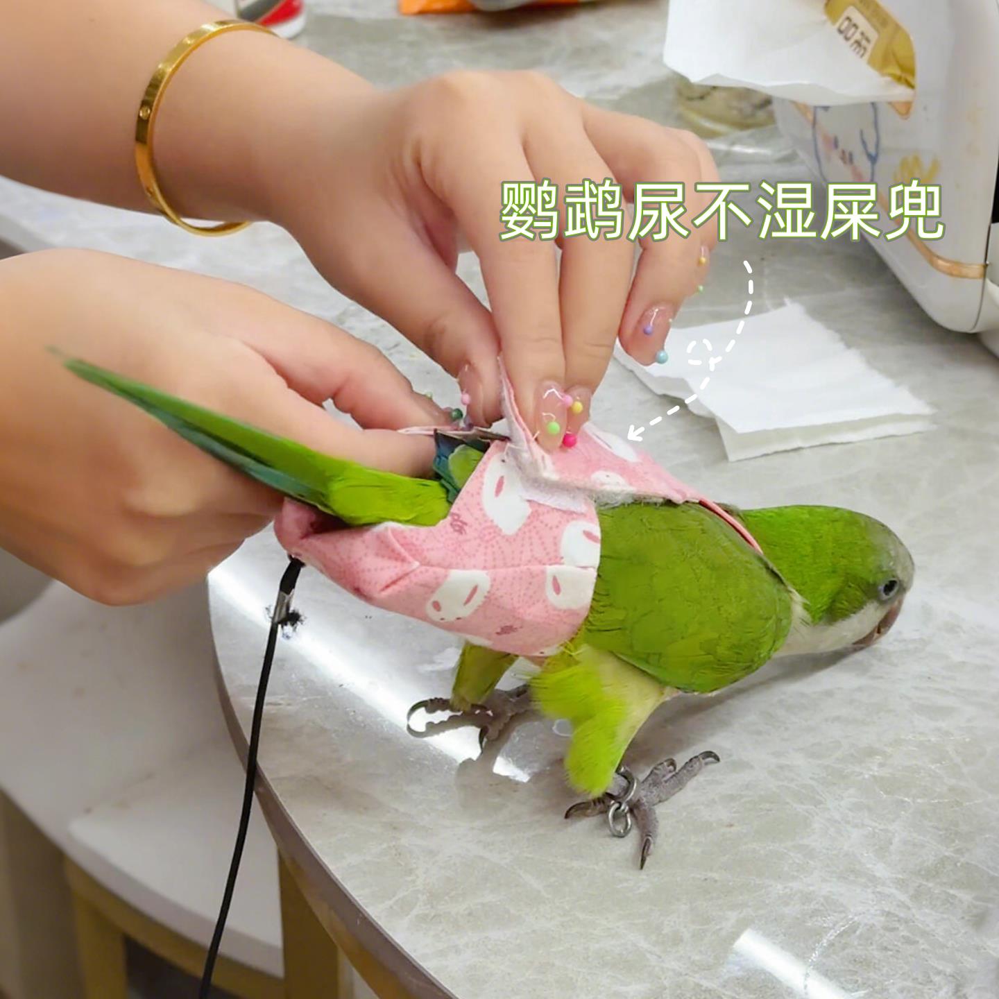 鹦鹉尿不湿屎兜虎皮牡丹小太阳外出防脏纸尿裤可调节小鸟拉屎神器