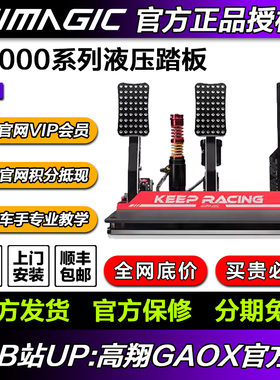 高翔GAOX simagic速魔 P2000液压踏板赛车方向盘模拟器直驱阿尔法