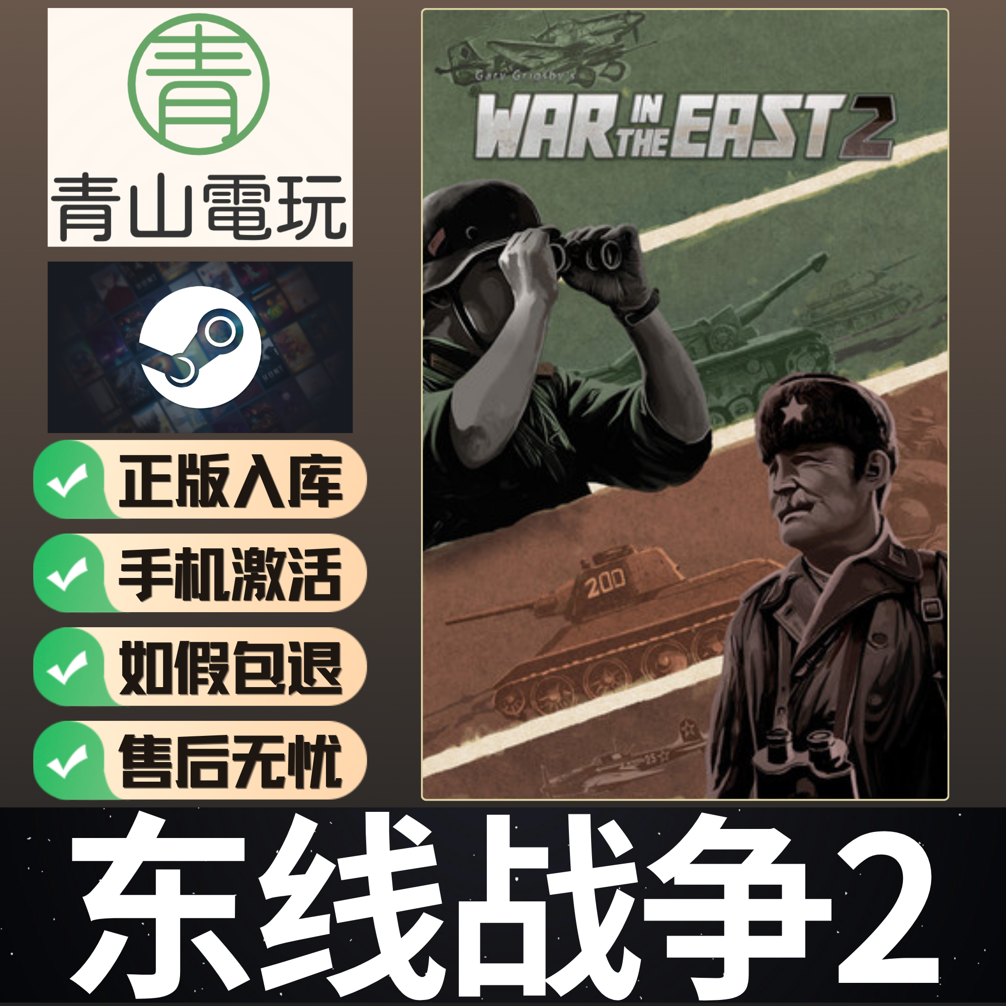 Steam正版 东线战争2 Gary War in the East 2 DLC 激活码 CDKEY