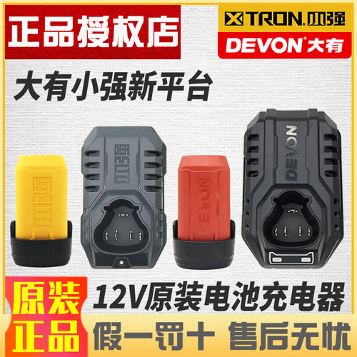大有电池充电器12V原装锂电池