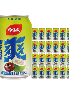 杨协成椰子风味马蹄爽300ml/罐