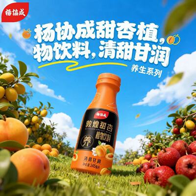 杨协成敦煌甜杏245ml×10瓶