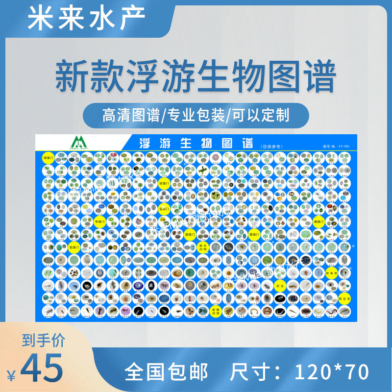 浮游生物图谱尺寸70*120包括藻类和浮游动物可定制可开票包邮正品