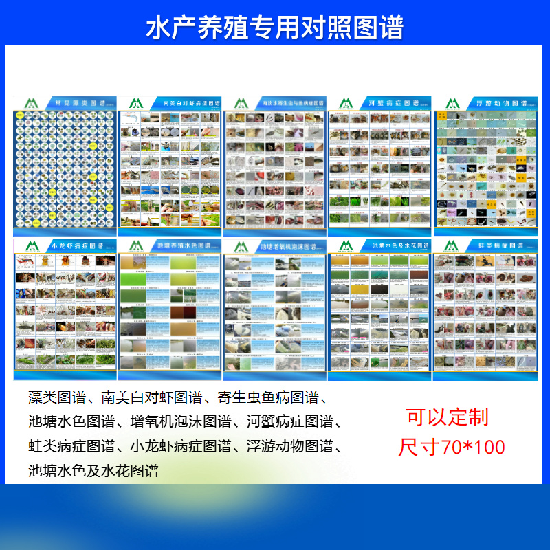 藻类图谱浮游生物南美白对虾定制